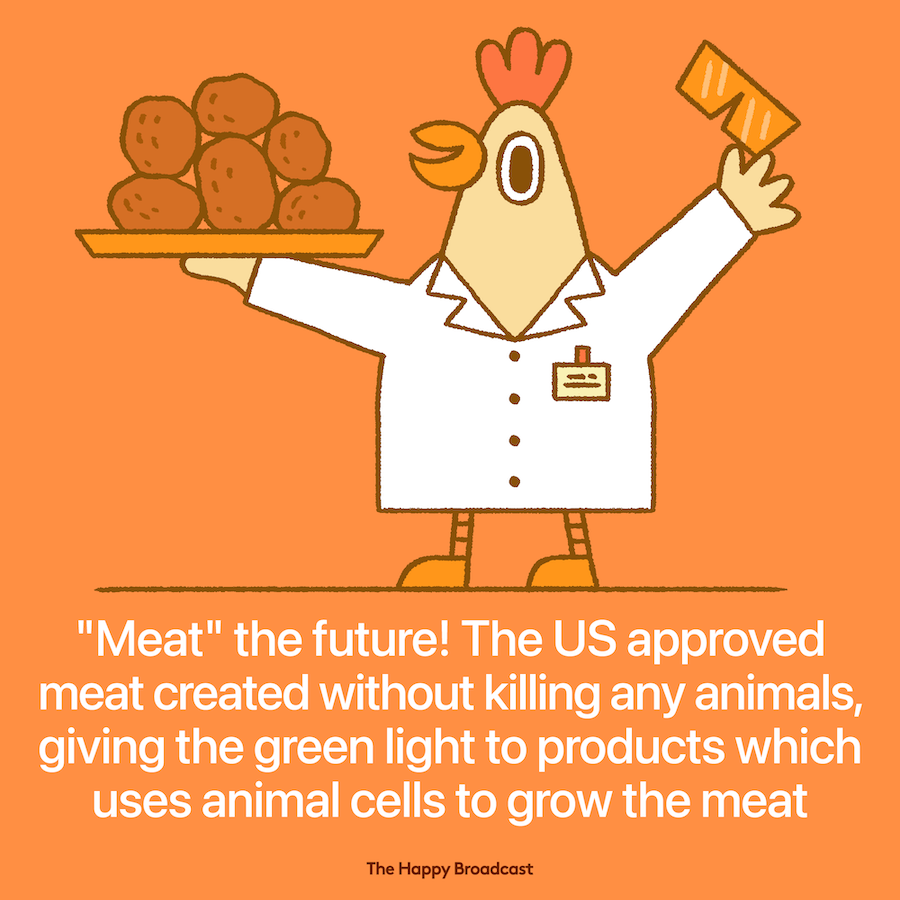 Lab grown meat is approved for consumption in the US