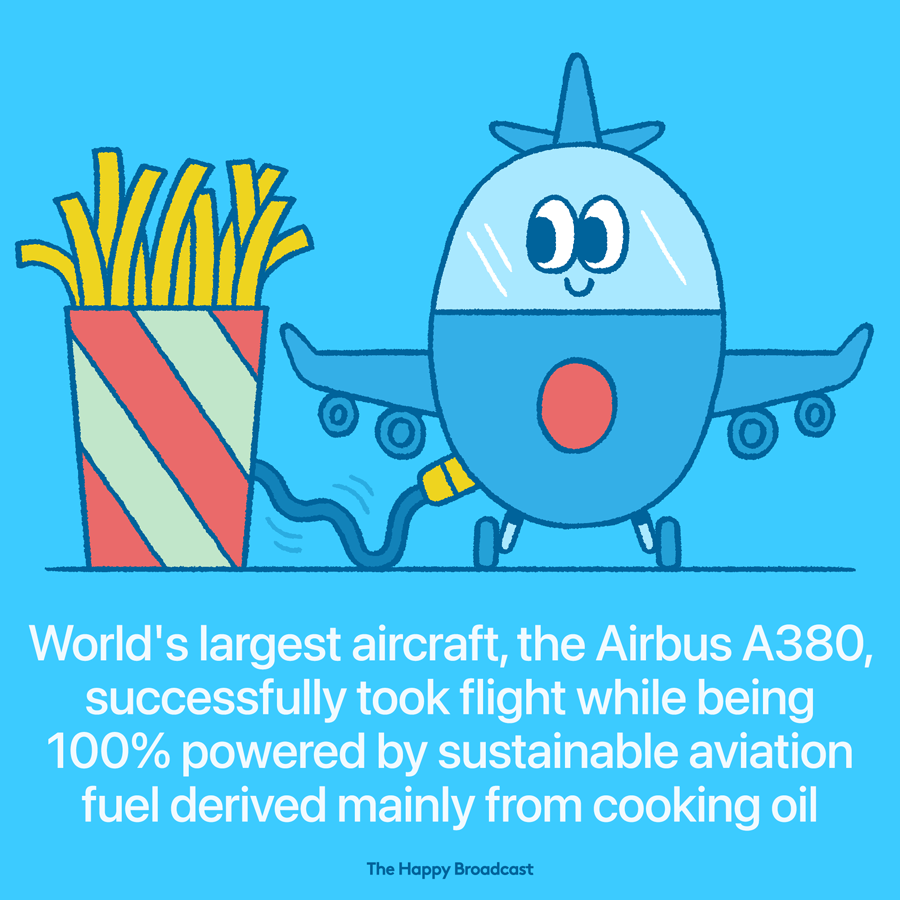 An Airbus just completed a flight powered by cooking oil