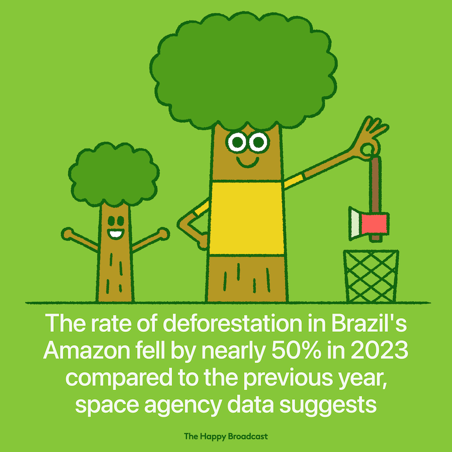 Deforestation in the Amazon fell by 50 percent in 2023