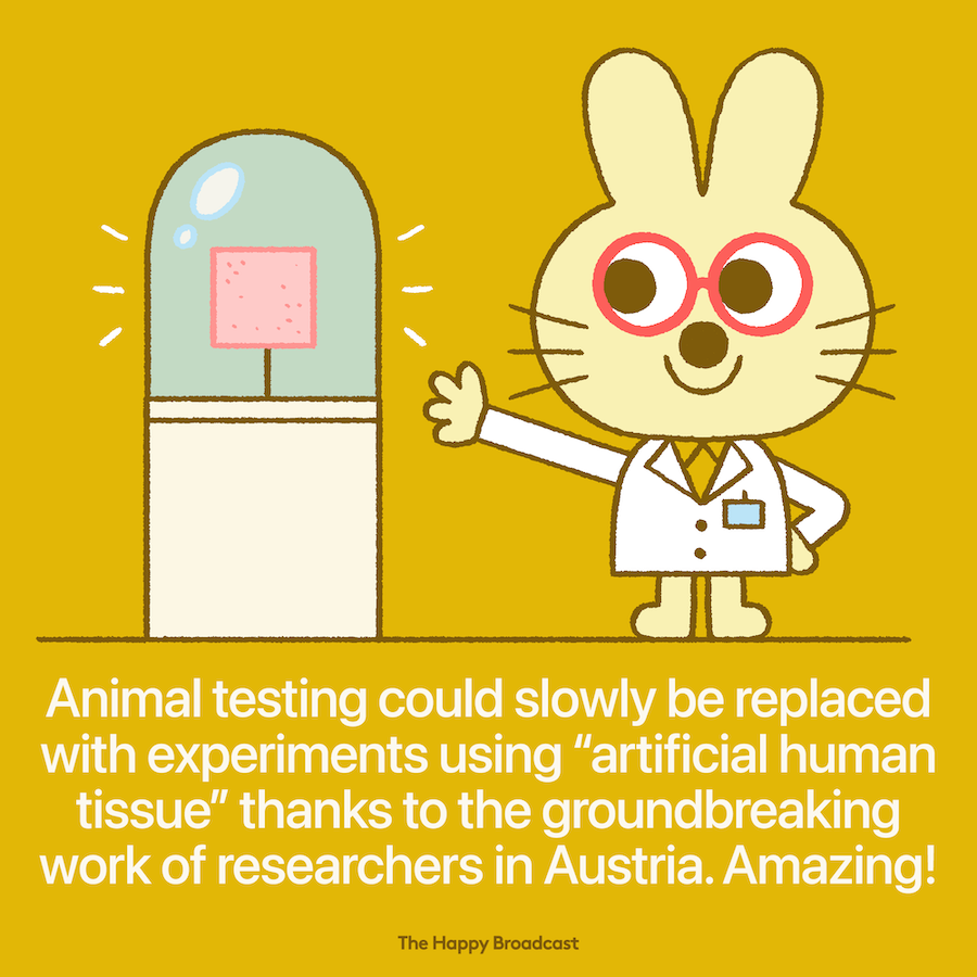 Artificial human tissue will replace animal testing