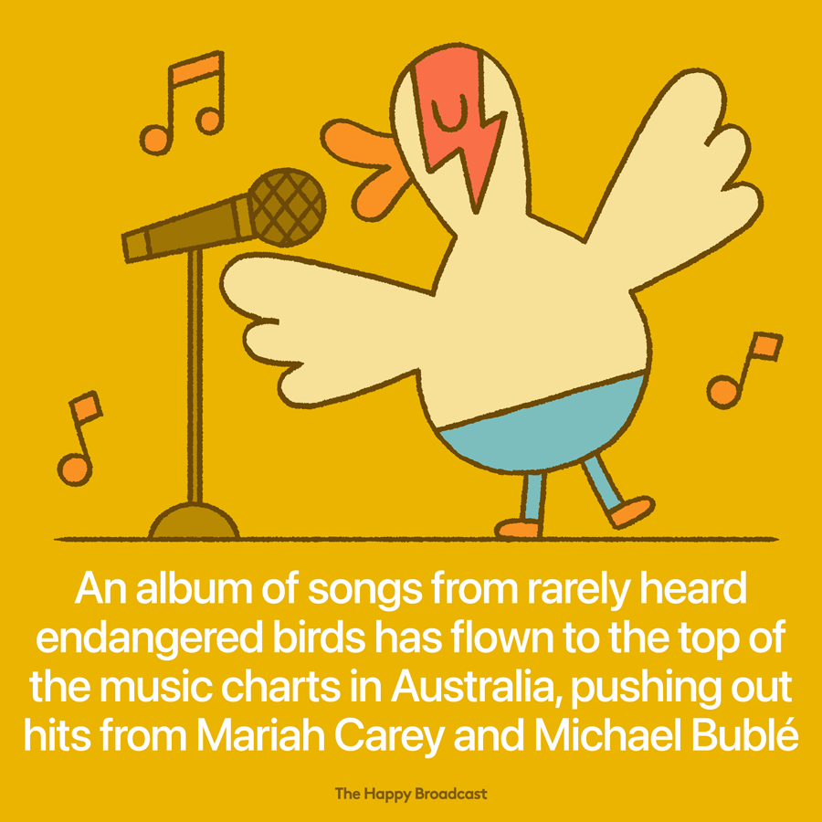 Bird song album from endangered species soars ahead of Christmas classics