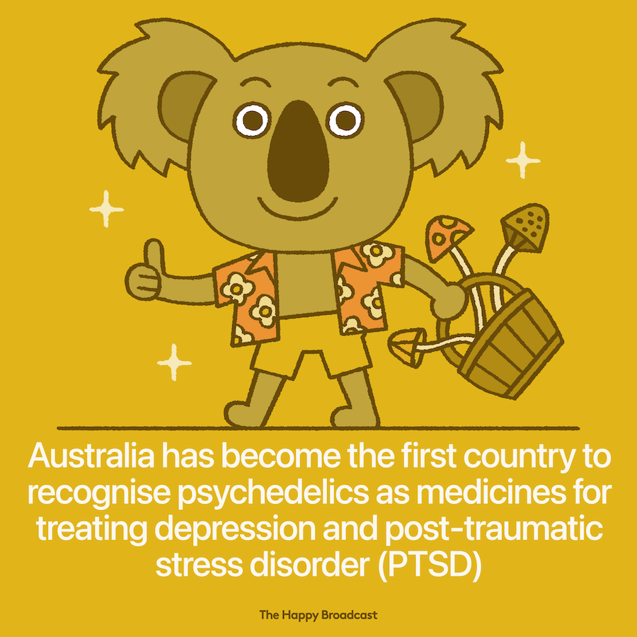 Australia recognises psychedelics as medicines