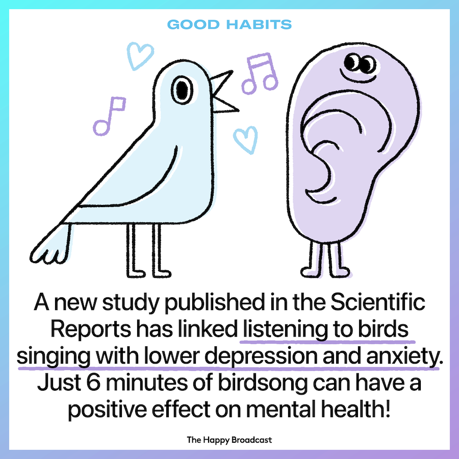 Birdsongs can help you with anxiety