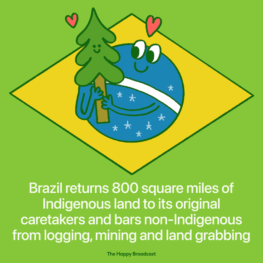 Brazil returns 800 square miles of indigenous land