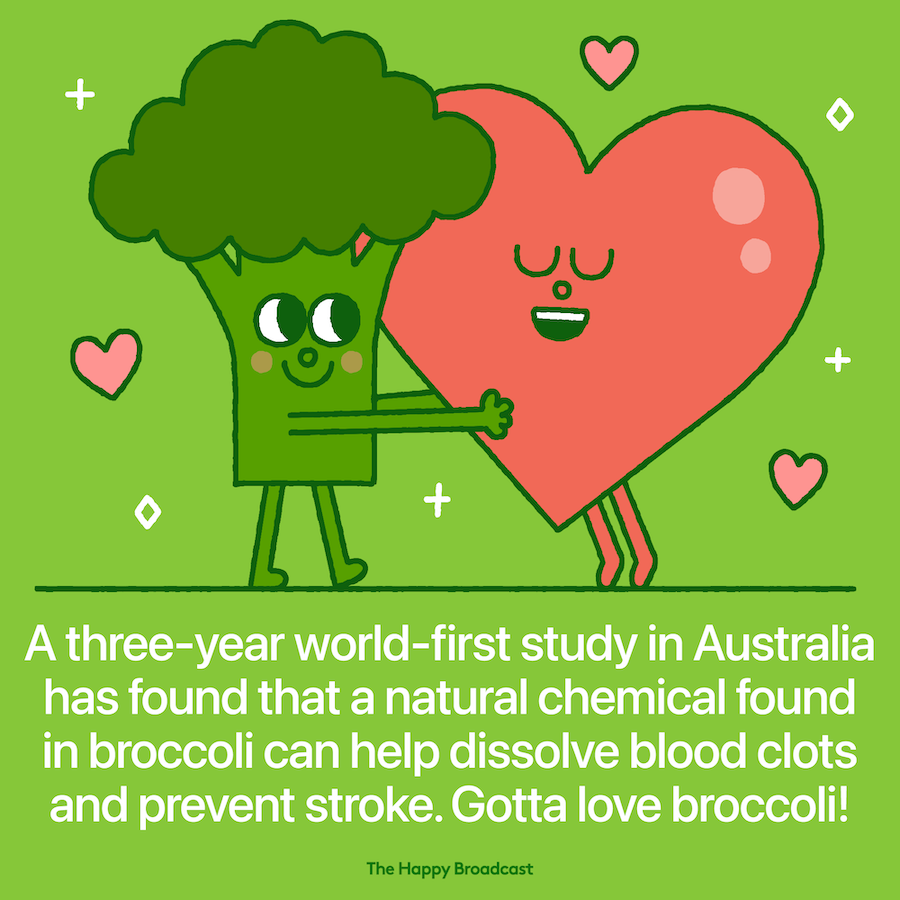 Broccoli can prevent stroke