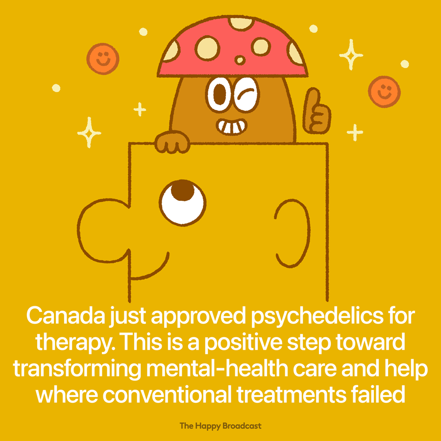 Psychedelics And MDMA For Medical Use In Canada
