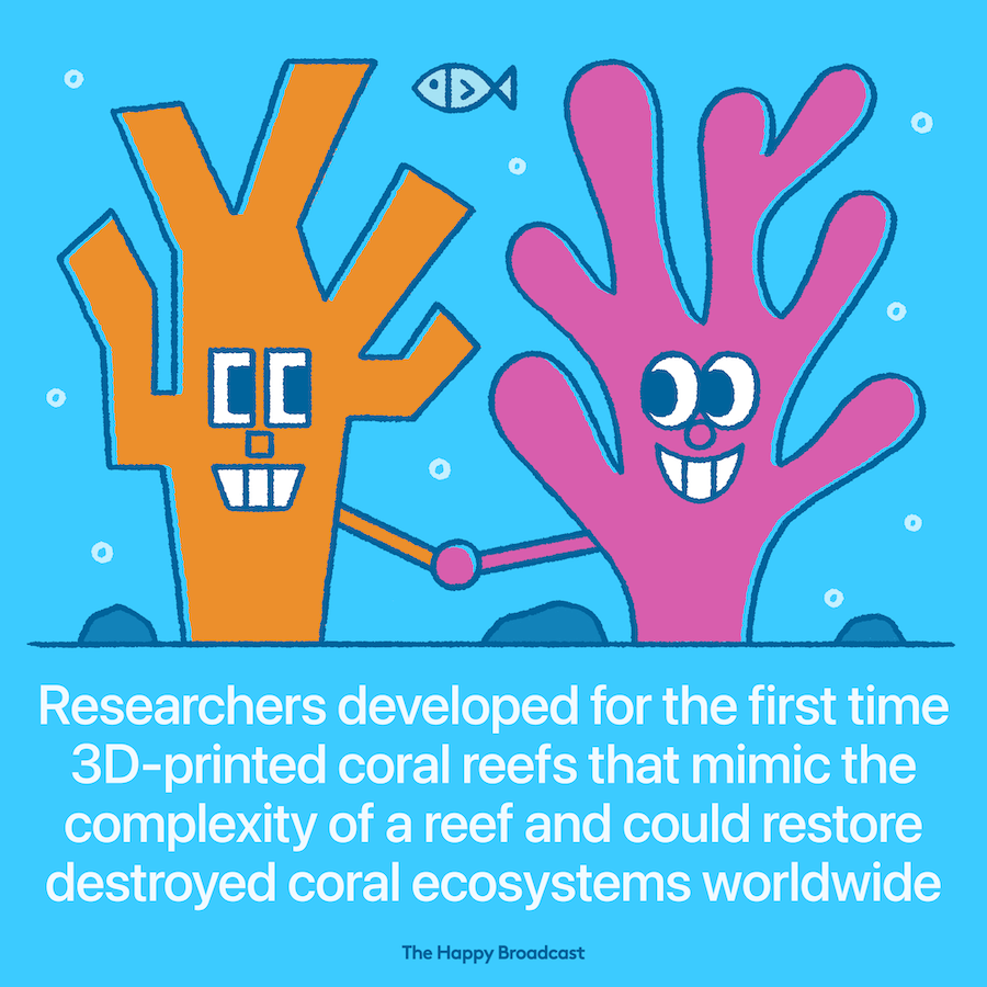 Saving coral reefs using 3D printing