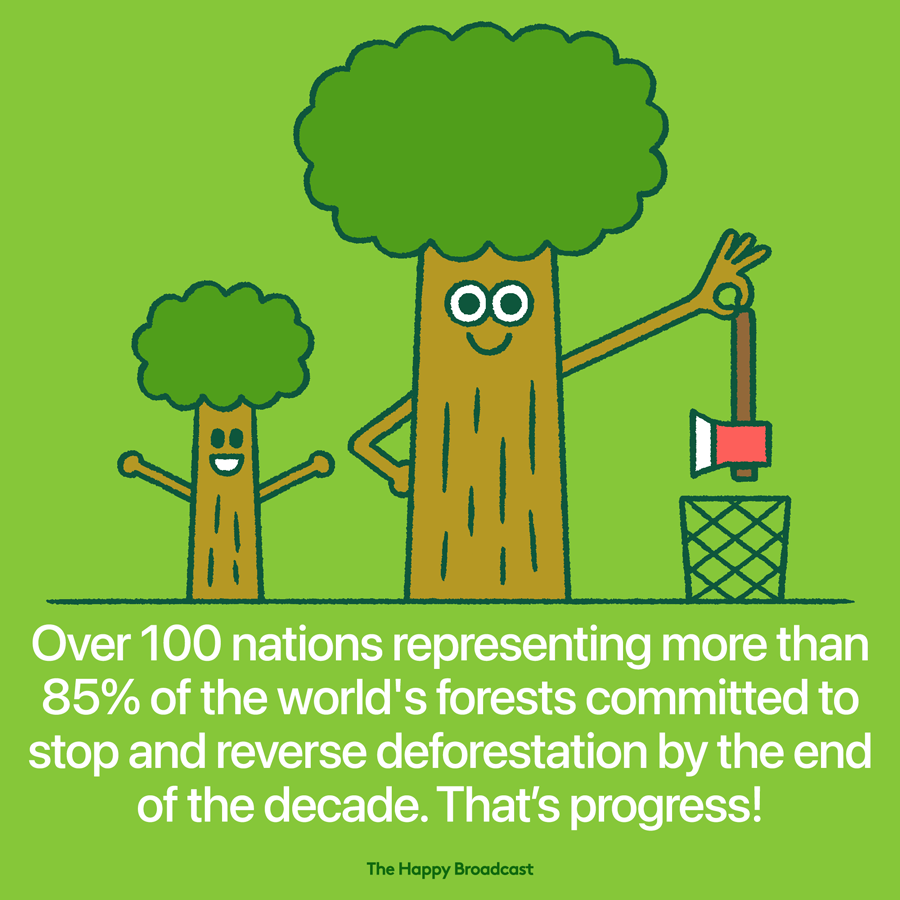 100 nations agree to end and reverse deforestation