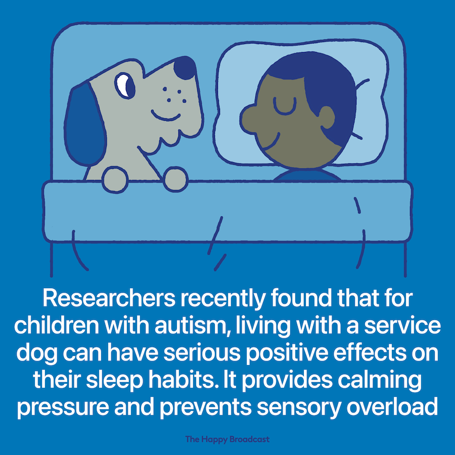 Dogs improve the sleeping quality of children with autism