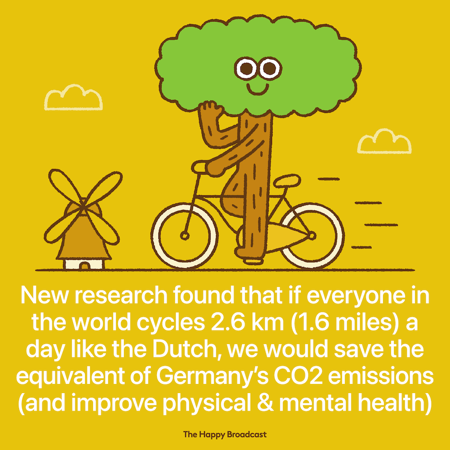 Biking like the Dutch can reduce CO2 drastically