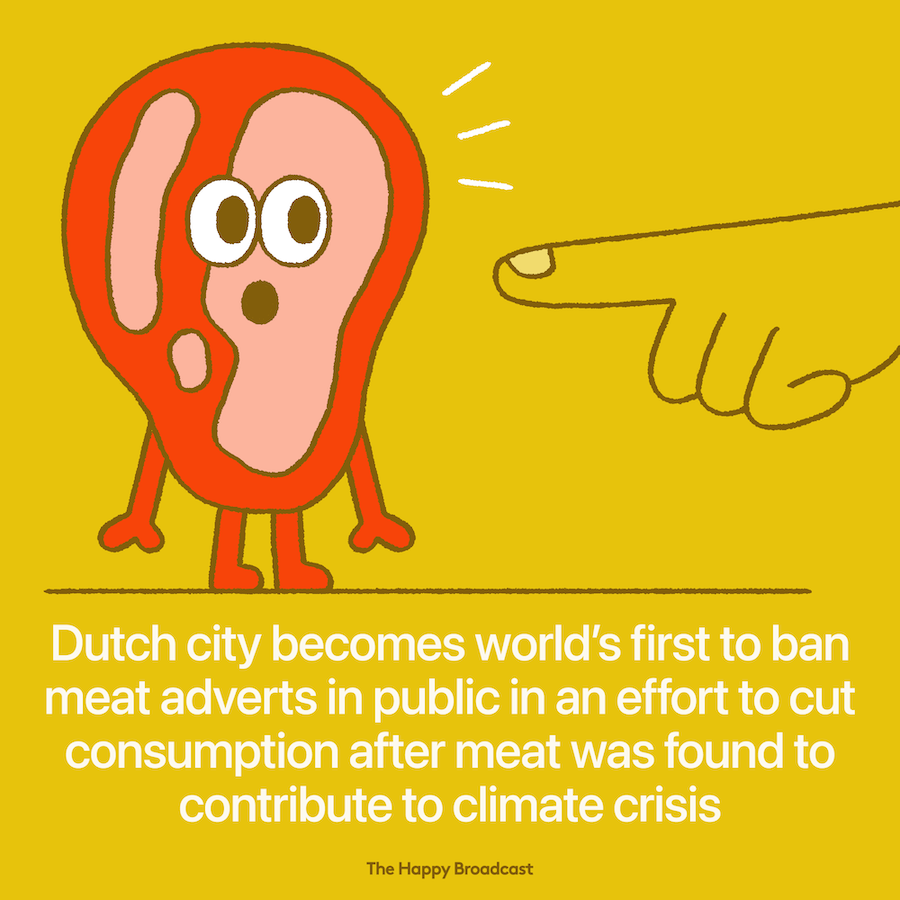 Dutch city bans meat adverts in public