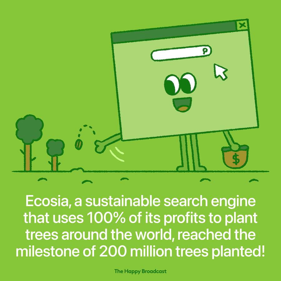 Ecosia planted 200 million trees