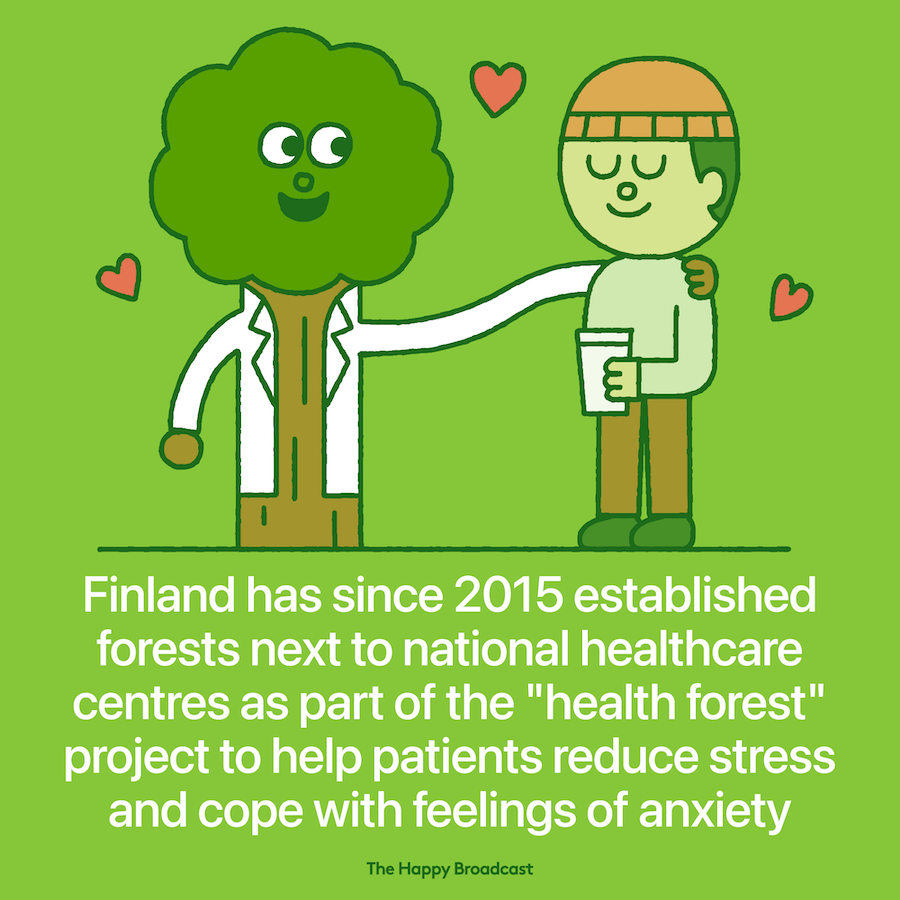 Forest in Finland can support people mental health