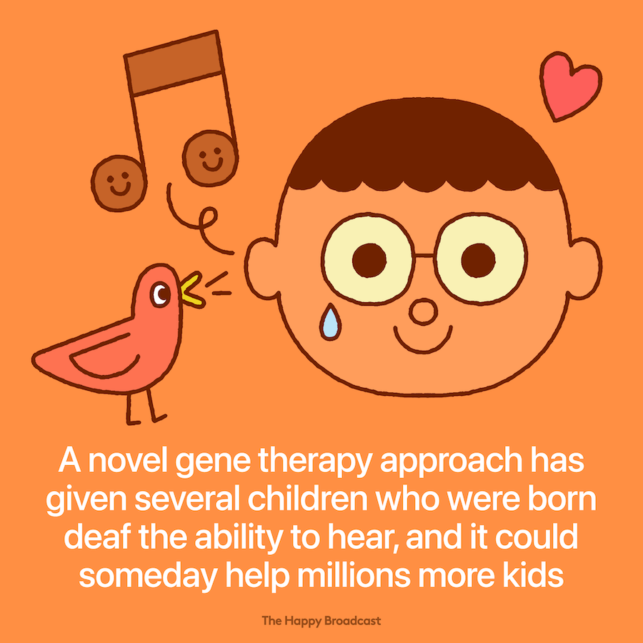 New gene therapy allowed deaf kids to hear 