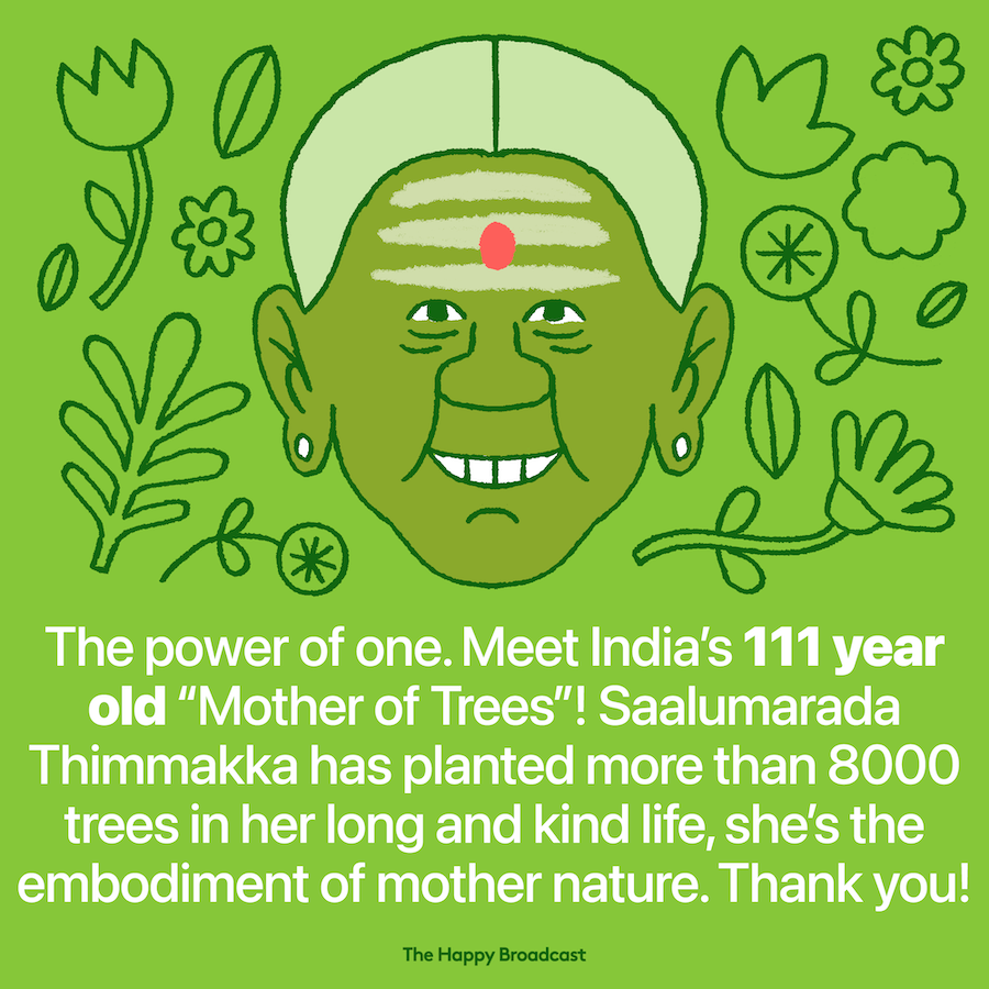 Meet the Indian Mother of Trees