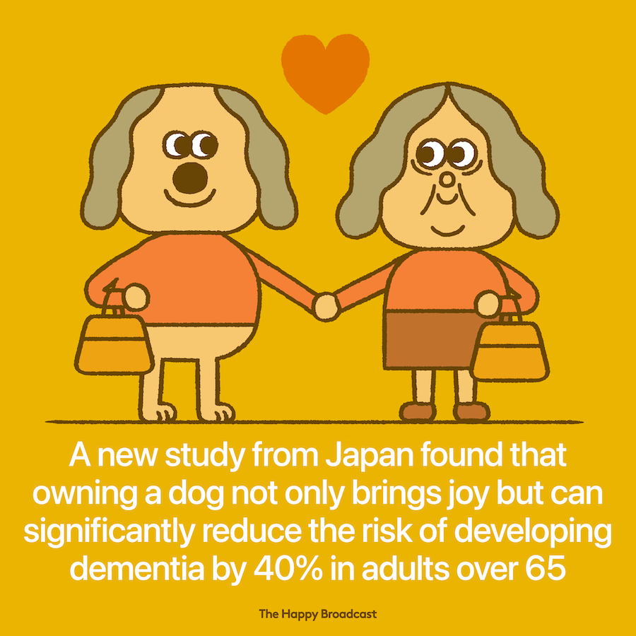 Owning a dog decreases the risk of dementia