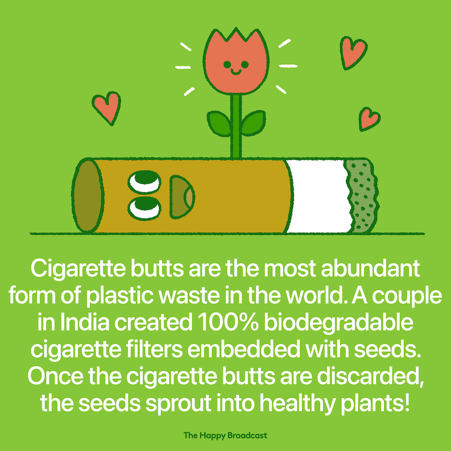 Couple in India launches biodegradable cigarette filters that sprout into plants