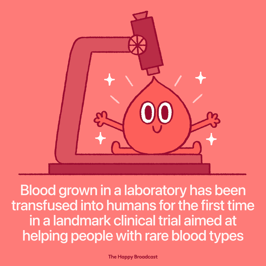 blood grown in a lab has been transfused into humans for the first time
