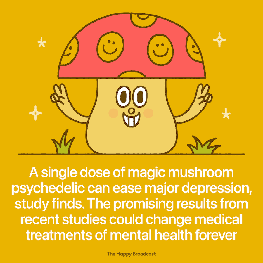 Study finds a single dose of psilocybin is effective as treatment for major depressive disorder