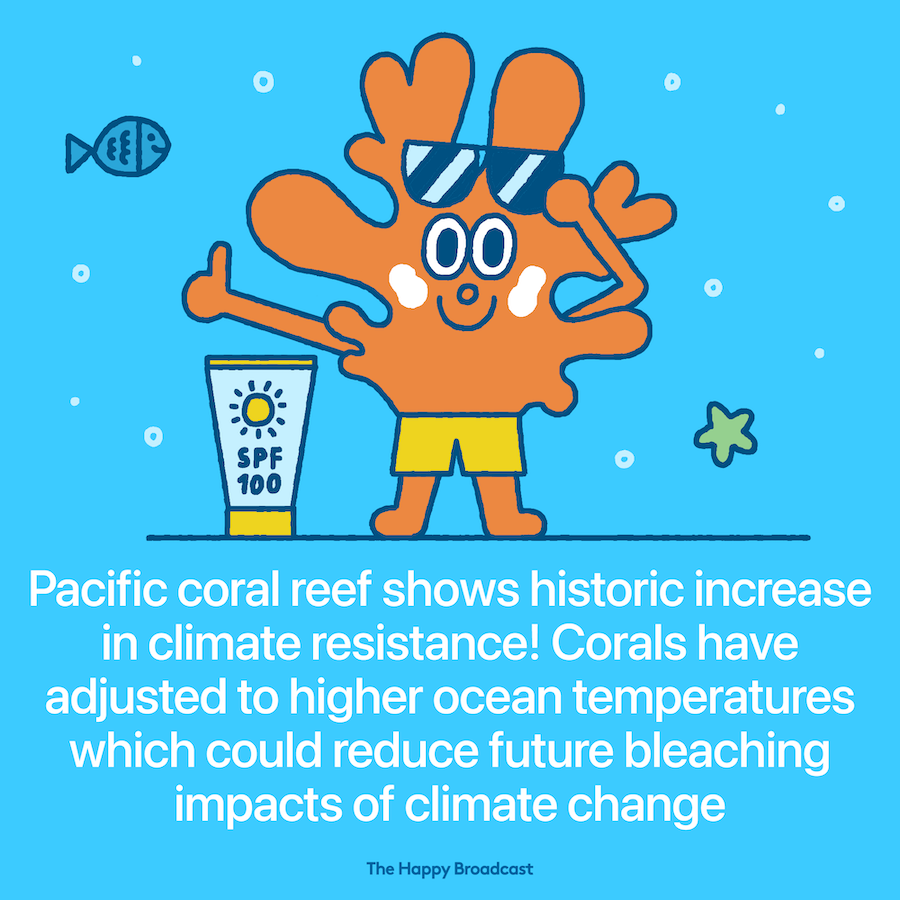 Coral reef shows historic increase in climate resistance