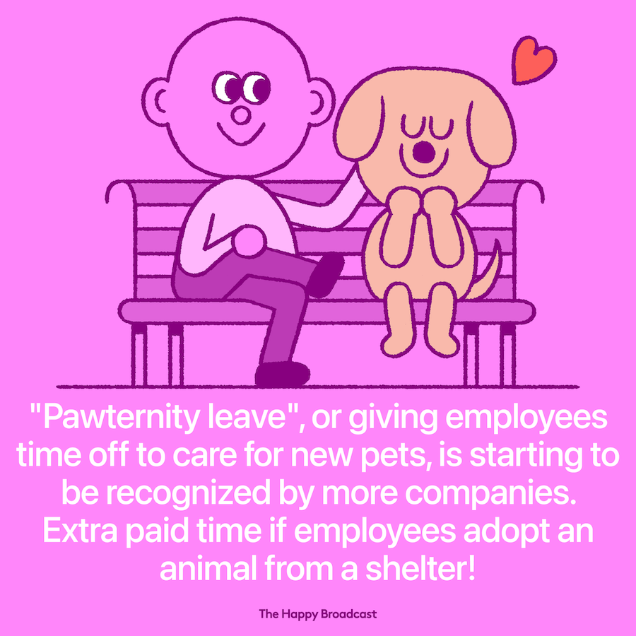 Pawternity leave for employees