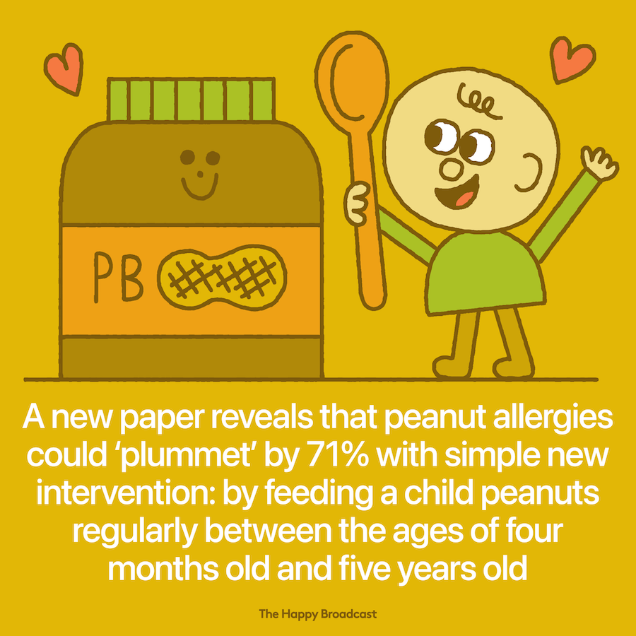 A simple new method to reduce the rate of people suffering from a peanut allergy 