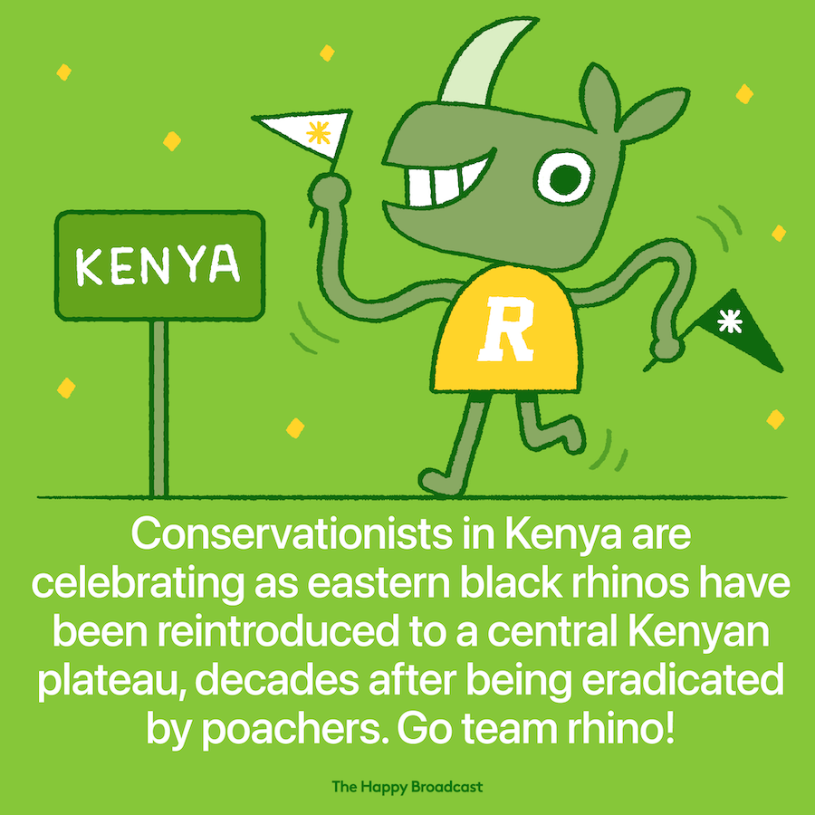 Biggest rhino relocation ever in Kenya