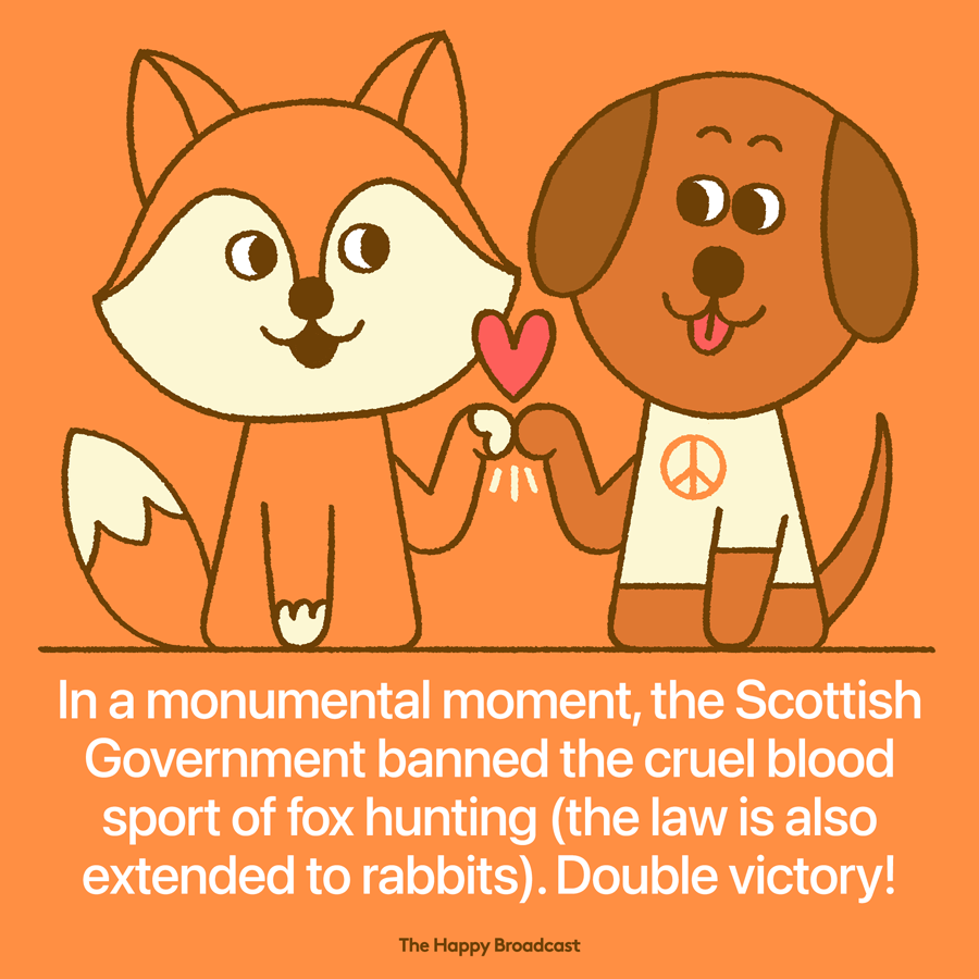 Scotland bans fox hunting