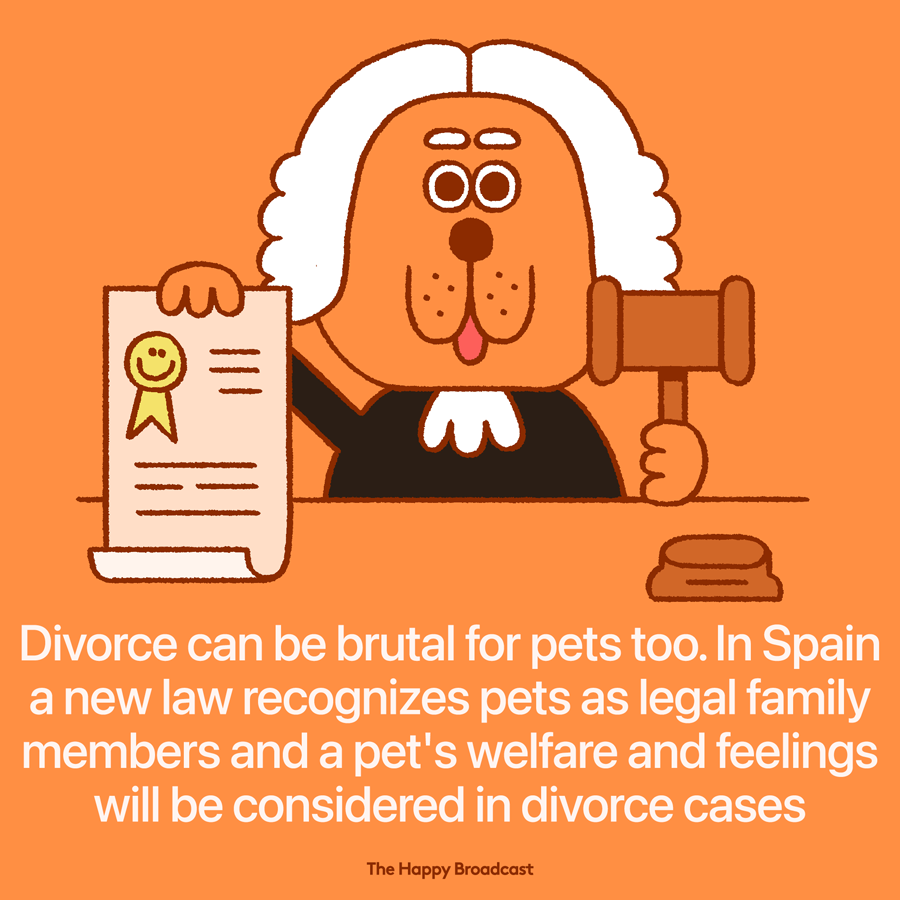 Spain makes pets legal members of family