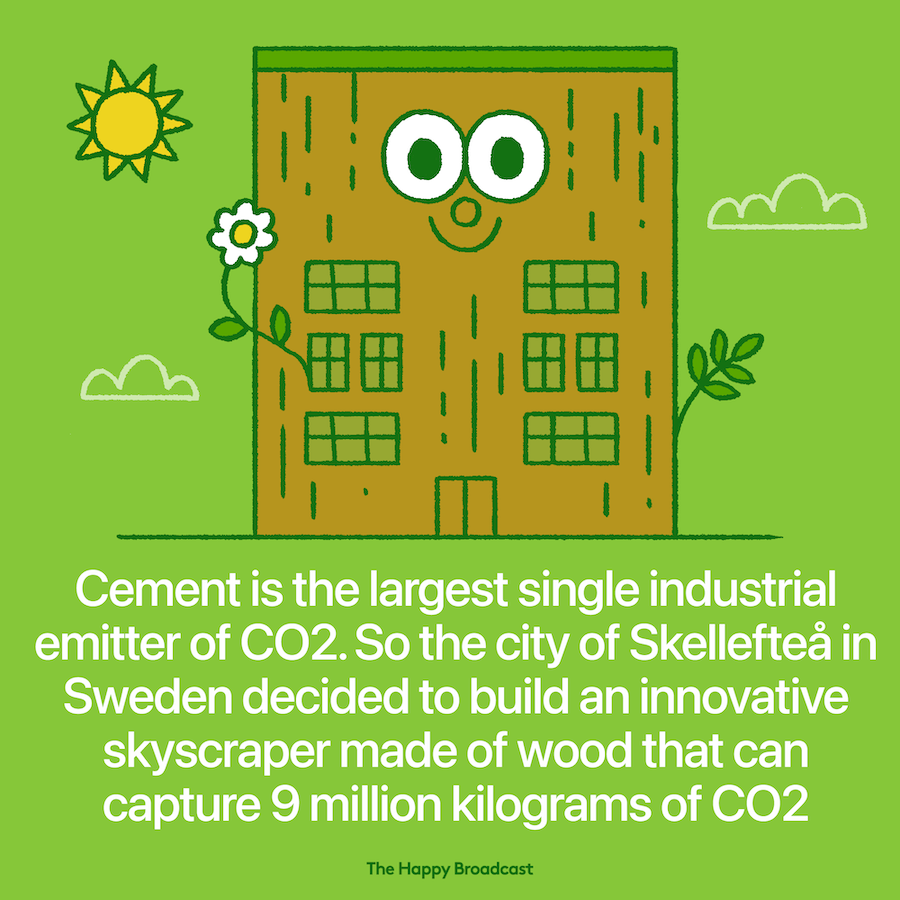 A wooden skyscraper in Sweden can capture 9 million kilograms of CO2