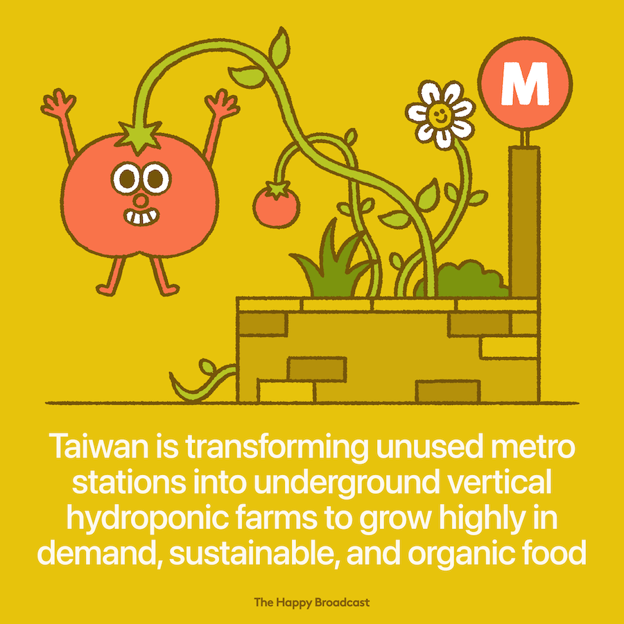 Taiwan is growing produce inside underground metro stations