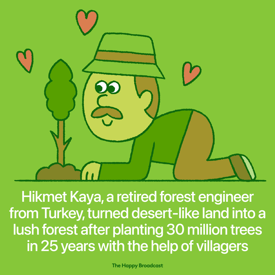 Turkey man turn barren land into a lush forest in 25 years