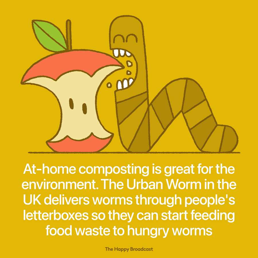 Urban Worms delivered worms to your house for eco food waste