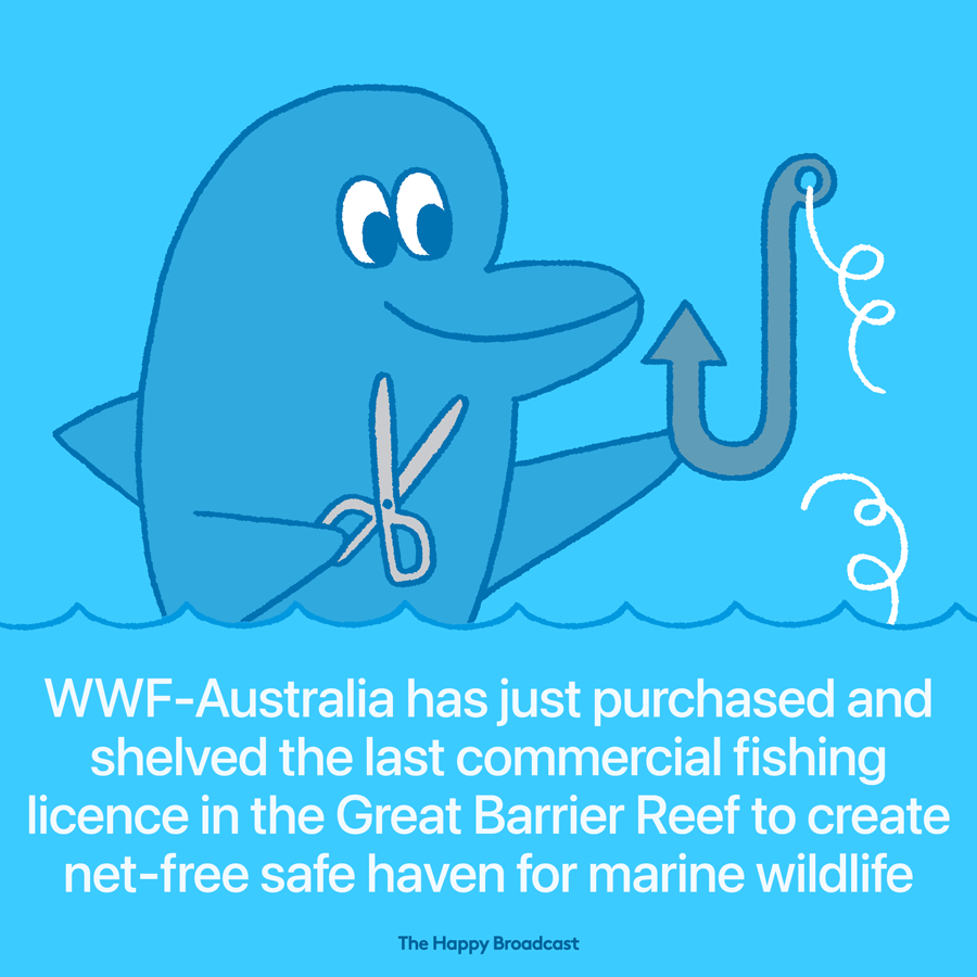 WWF creates safe haven for marine life in northern Great Barrier Reef